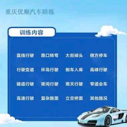 陪練練車陪駕、陪練練車一對(duì)一、優(yōu)順一對(duì)一汽車陪練